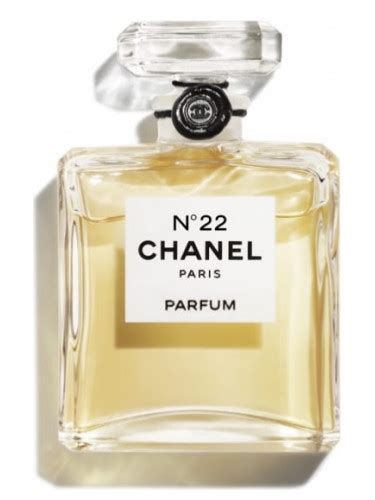 where can i buy chanel no 22 perfume|buy chanel no 22.